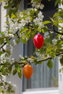 Zwei Ostereier hängen am Osterbaum